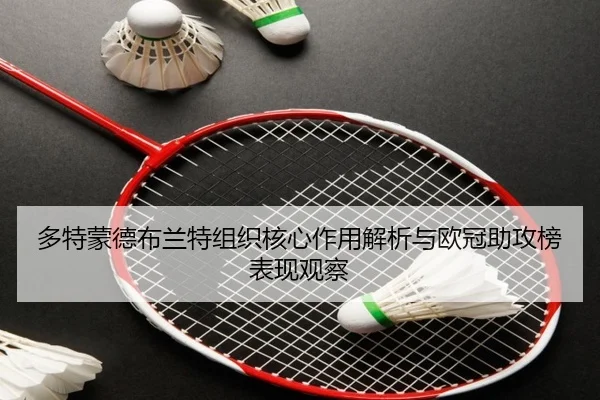 多特蒙德布兰特组织核心作用解析与欧冠助攻榜表现观察